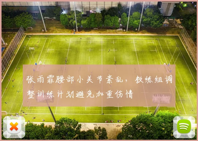 张雨霏腰部小关节紊乱，教练组调整训练计划避免加重伤情